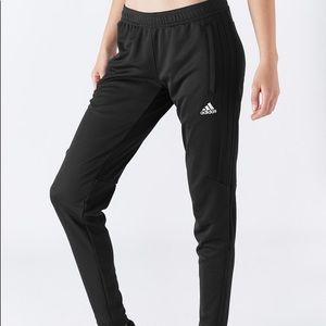 Adidas Jogger Training Pants